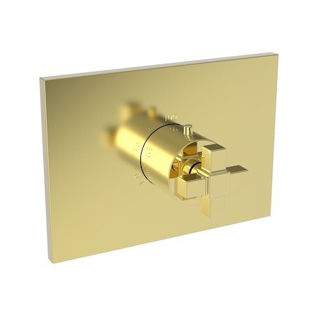 Newport Brass 3/4" Square Thermostatic Trim Plate With Handle in Forever Brass (Pvd) 3-3154TS-01